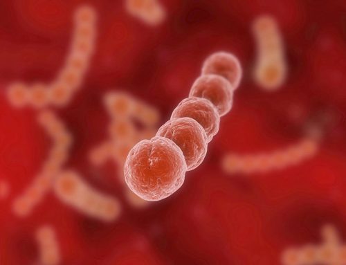 Prevenção de complicações neonatais através da pesquisa de Streptococcus Beta Hemolítico em Gestantes